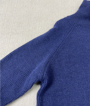 PureWear® - Hochgeschlossener Pullover mit langen Ärmeln und Knopfleiste